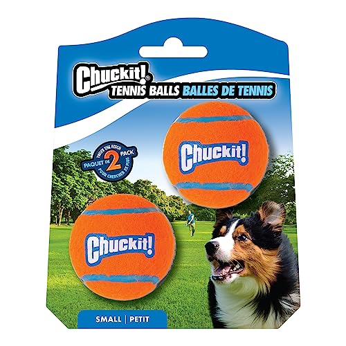 Dog Tennis Balls Set