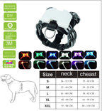 LED Dog Glow Collar