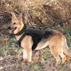 K9 Chest Harness Vest