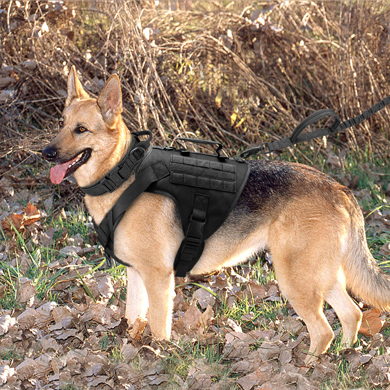 K9 Chest Harness Vest