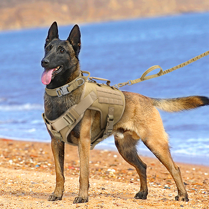 K9 Chest Harness Vest