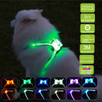 LED Dog Glow Collar